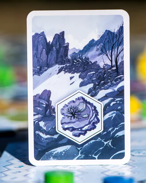 Avis Winter Kingdom carte terrain 3